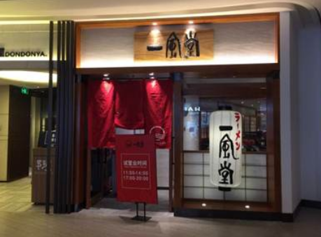 91视频免费在线看